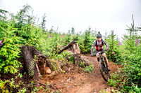 TW_BCBR2016_Day1_0124