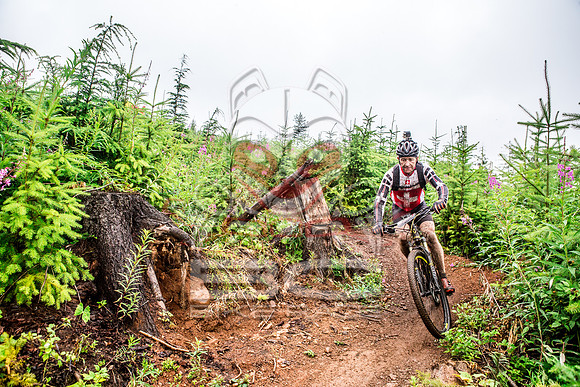 TW_BCBR2016_Day1_0124