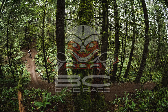 DS_BCBR16_1_0398