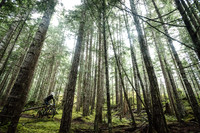 DS_BCBR16_1_0351