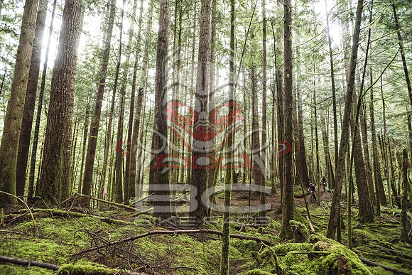 DS_BCBR16_2_0664