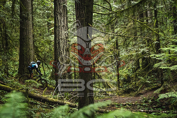 DS_BCBR16_1_0418