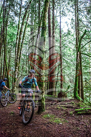 TW_BCBR2016_Day2_0314