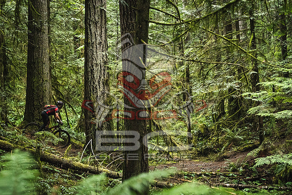 DS_BCBR16_1_0420