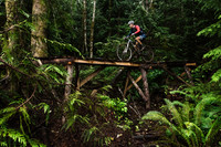 DS_BCBR16_1_0345