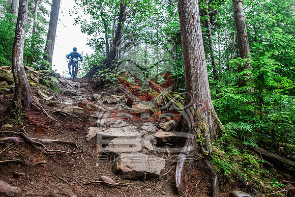 TW_BCBR2016_Day1_0821