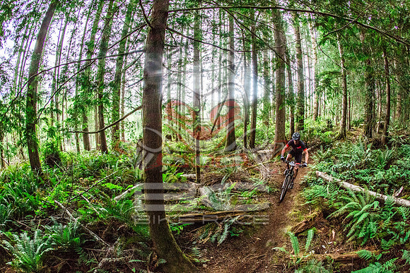 TW_BCBR2016_Day2_0830