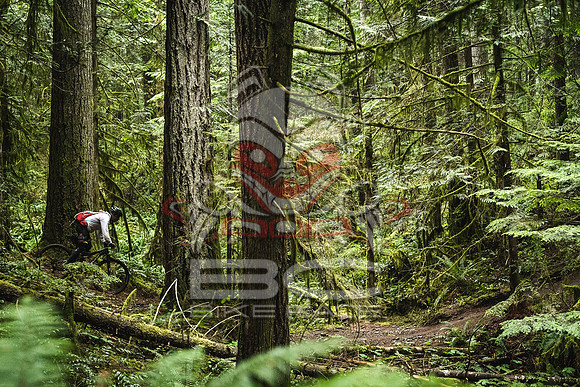 DS_BCBR16_1_0423