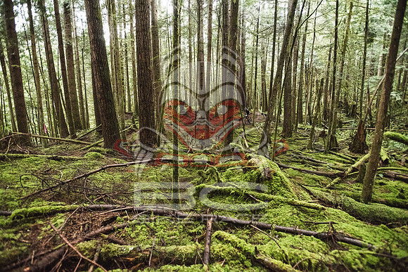 DS_BCBR16_2_0663