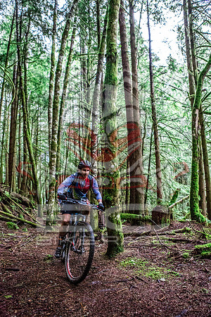 TW_BCBR2016_Day2_0277