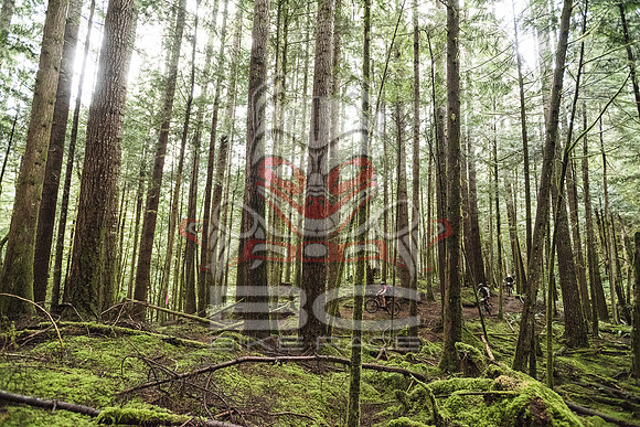 DS_BCBR16_2_0666