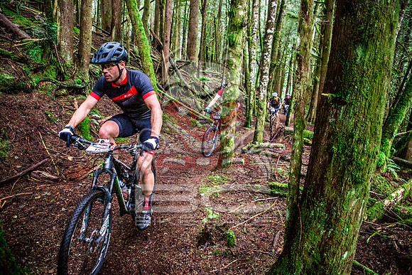 TW_BCBR2016_Day2_0160