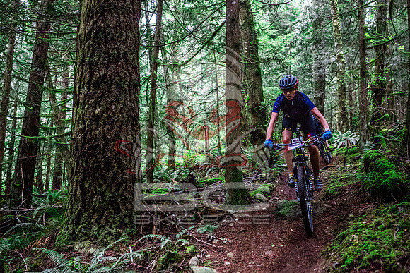TW_BCBR2016_Day2_0843