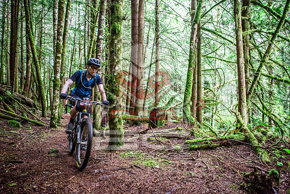 TW_BCBR2016_Day2_0239