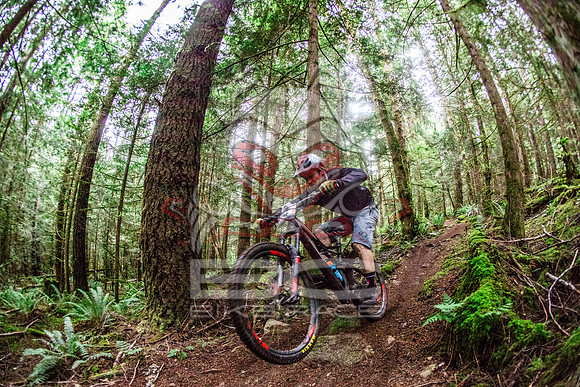 TW_BCBR2016_Day2_0839