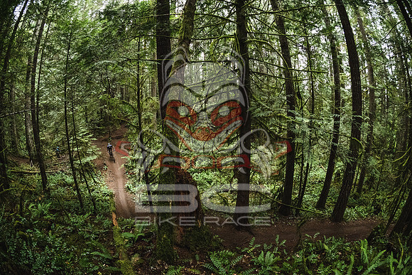 DS_BCBR16_1_0412
