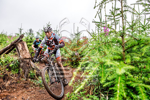 TW_BCBR2016_Day1_0101