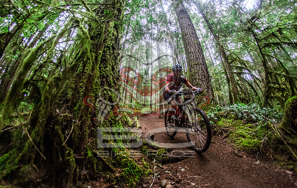 TW_BCBR2016_Day1_0944