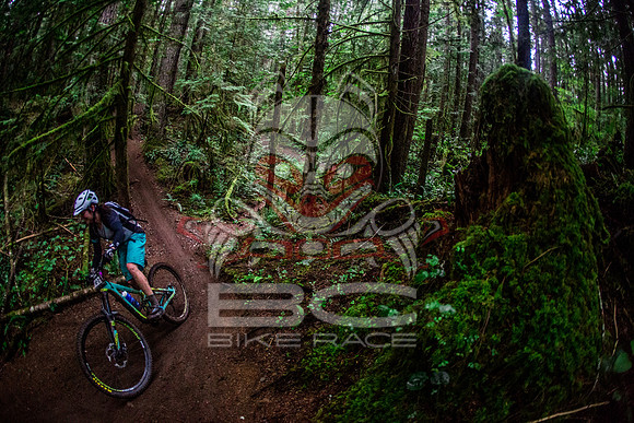 TW_BCBR2016_Day1_0963