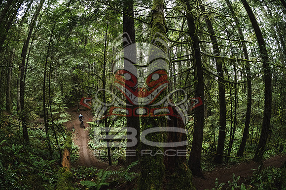 DS_BCBR16_1_0406