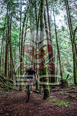 TW_BCBR2016_Day2_0600