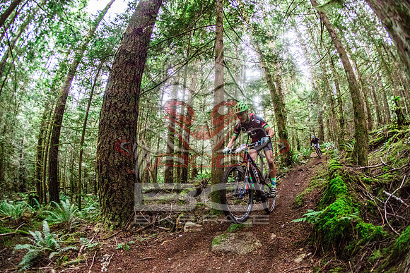 TW_BCBR2016_Day2_0838
