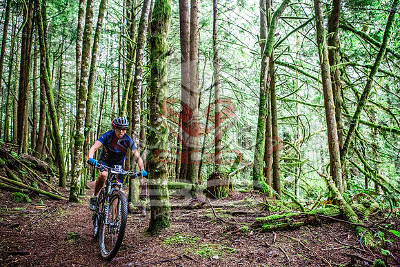 TW_BCBR2016_Day2_0212