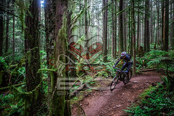 TW_BCBR2016_Day1_0878
