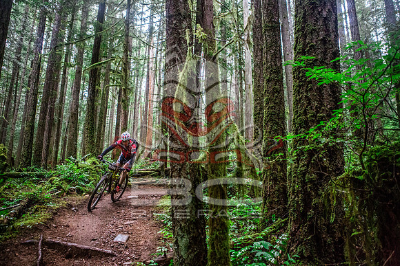 TW_BCBR2016_Day1_0888