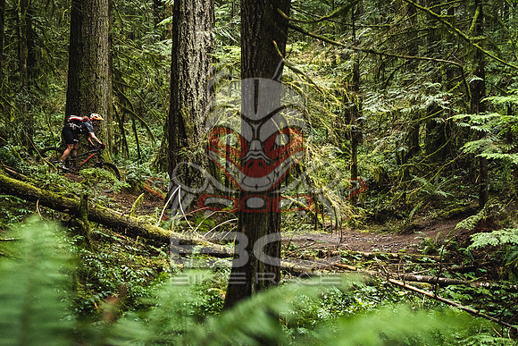 DS_BCBR16_1_0415