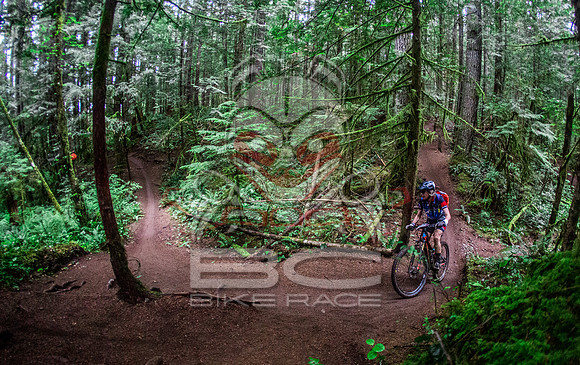 TW_BCBR2016_Day1_0940