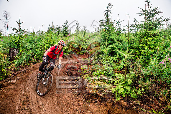 TW_BCBR2016_Day1_0581