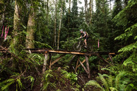 DS_BCBR16_1_0343