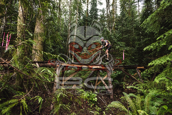 DS_BCBR16_1_0343