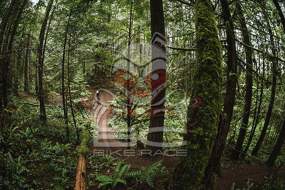 DS_BCBR16_1_0402