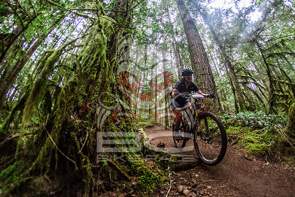 TW_BCBR2016_Day1_0958