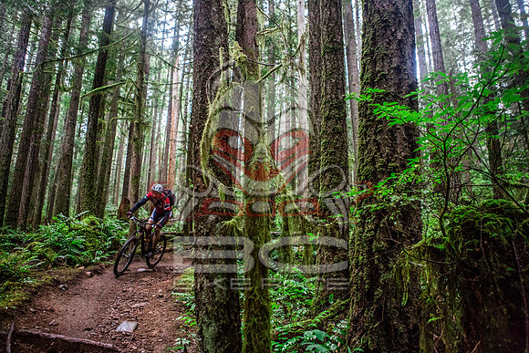 TW_BCBR2016_Day1_0887