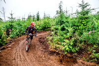 TW_BCBR2016_Day1_0506