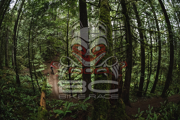 DS_BCBR16_1_0405