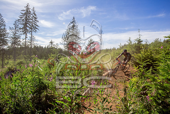 06_28_15_BCBR_01_0151