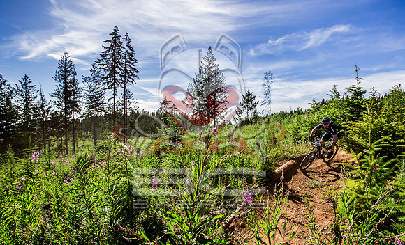 06_28_15_BCBR_01_0107