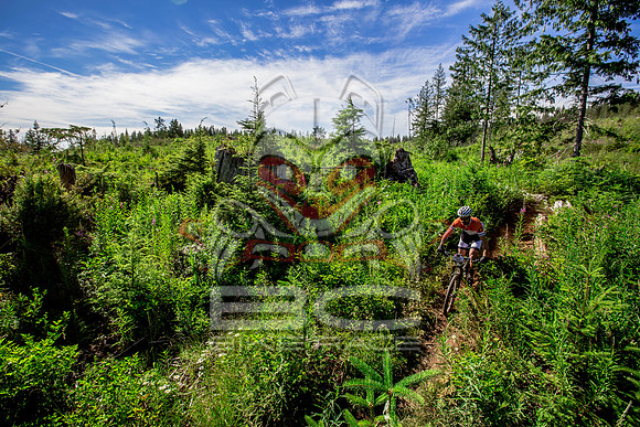 06_28_15_BCBR_01_0284