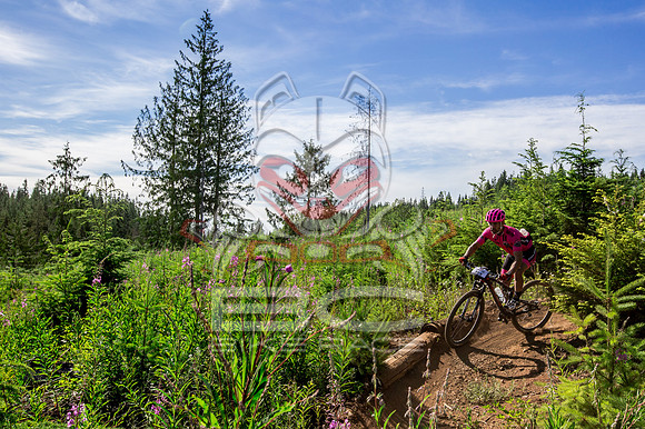 06_28_15_BCBR_01_0155
