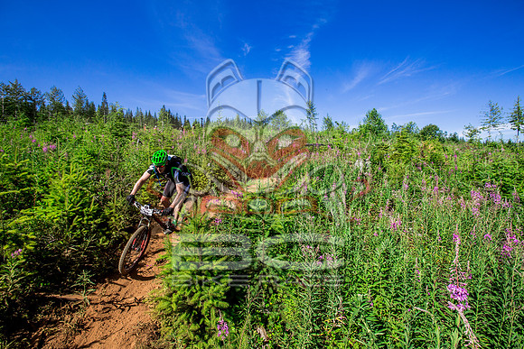 06_28_15_BCBR_01_0227