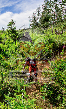 06_28_15_BCBR_01_0398