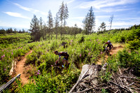 06_28_15_BCBR_01_0017-2