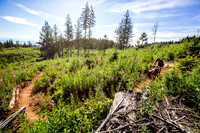 06_28_15_BCBR_01_0013-2