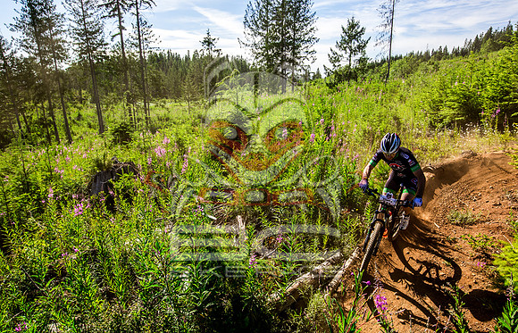 06_28_15_BCBR_01_0073