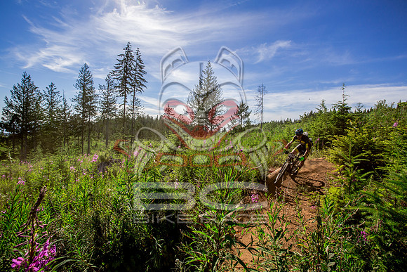 06_28_15_BCBR_01_0129