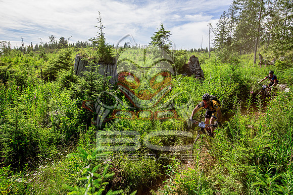 06_28_15_BCBR_01_0349